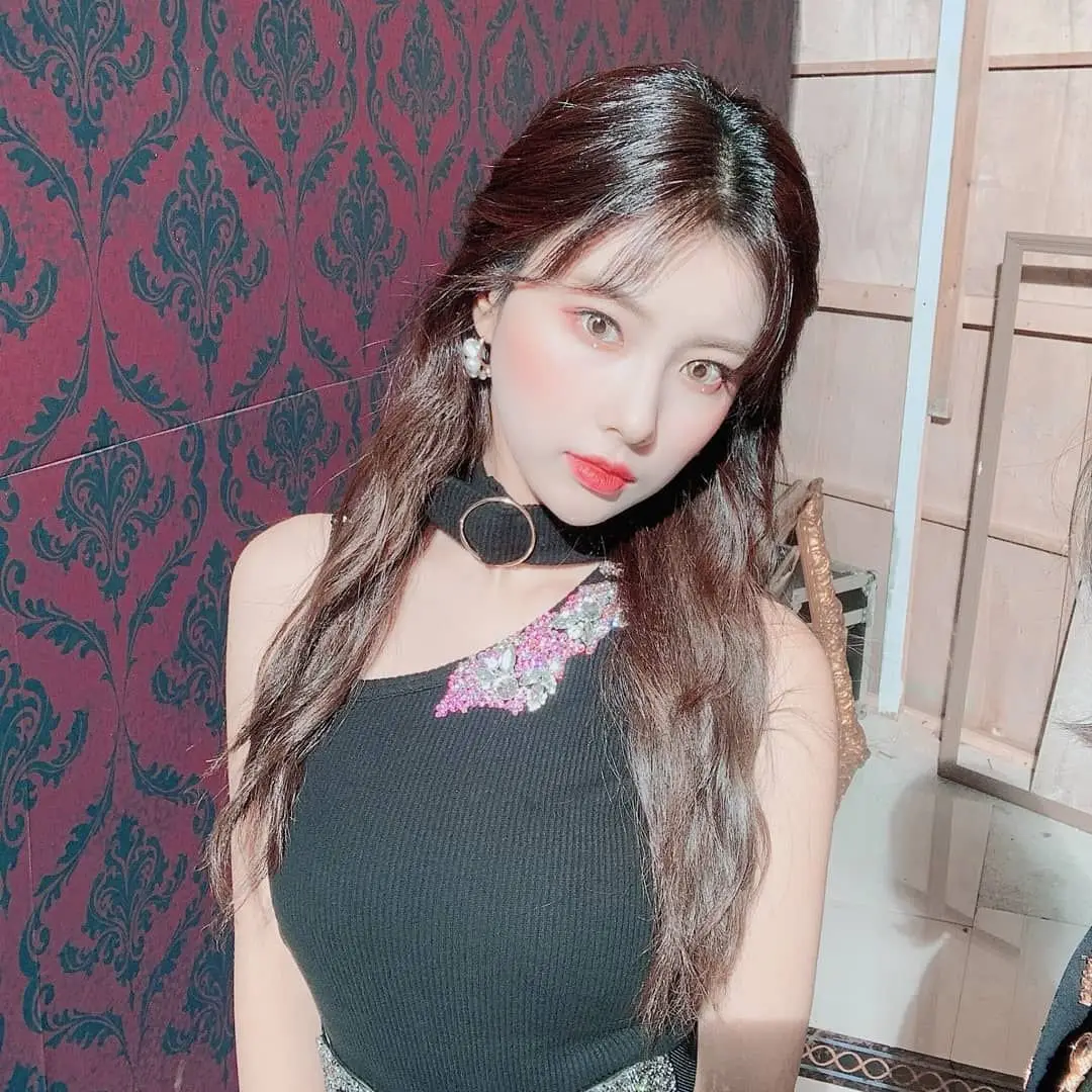[뱀파이어] 아이즈원 강혜원 & 사쿠라.jpg
