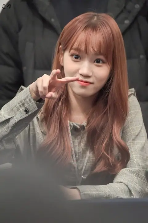 매덩 매덩 김채원