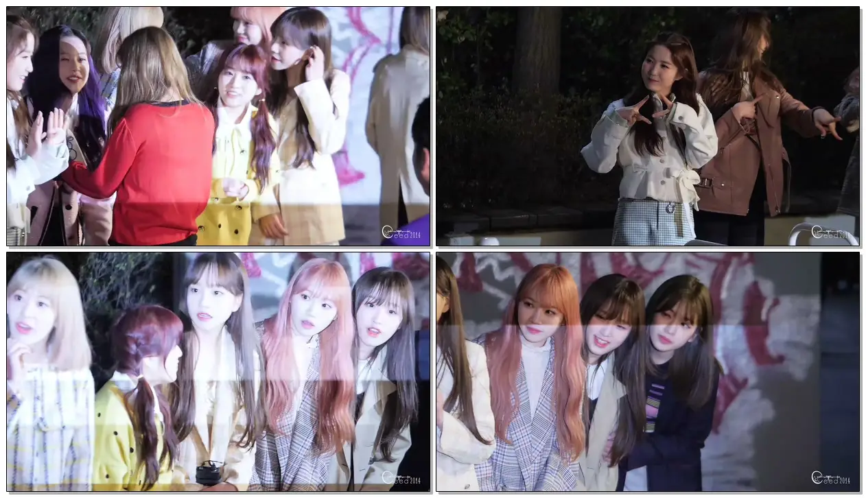 190330 아이즈원 IZ*ONE SBS본격연예한밤 거리인터뷰 @홍대 윗잔다리 어린이공원