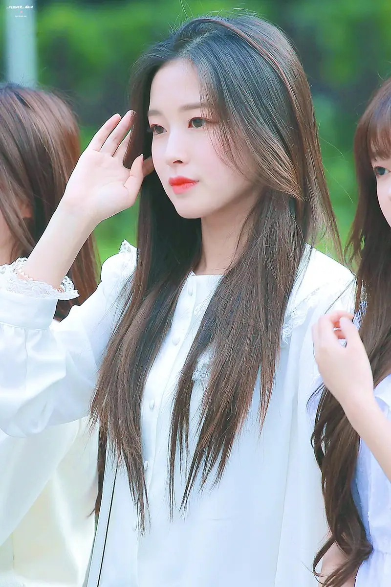 청순아린