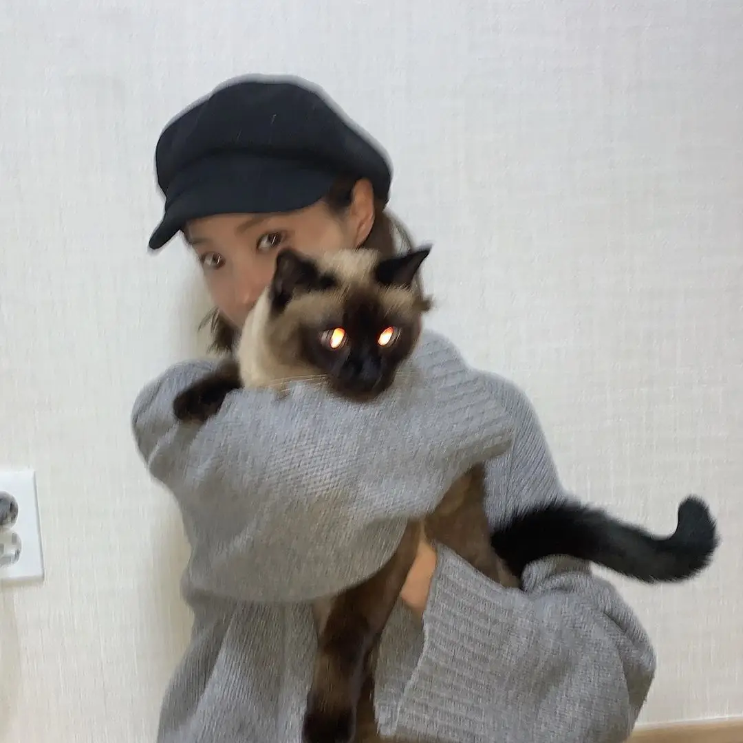 모모랜드 연우.insta