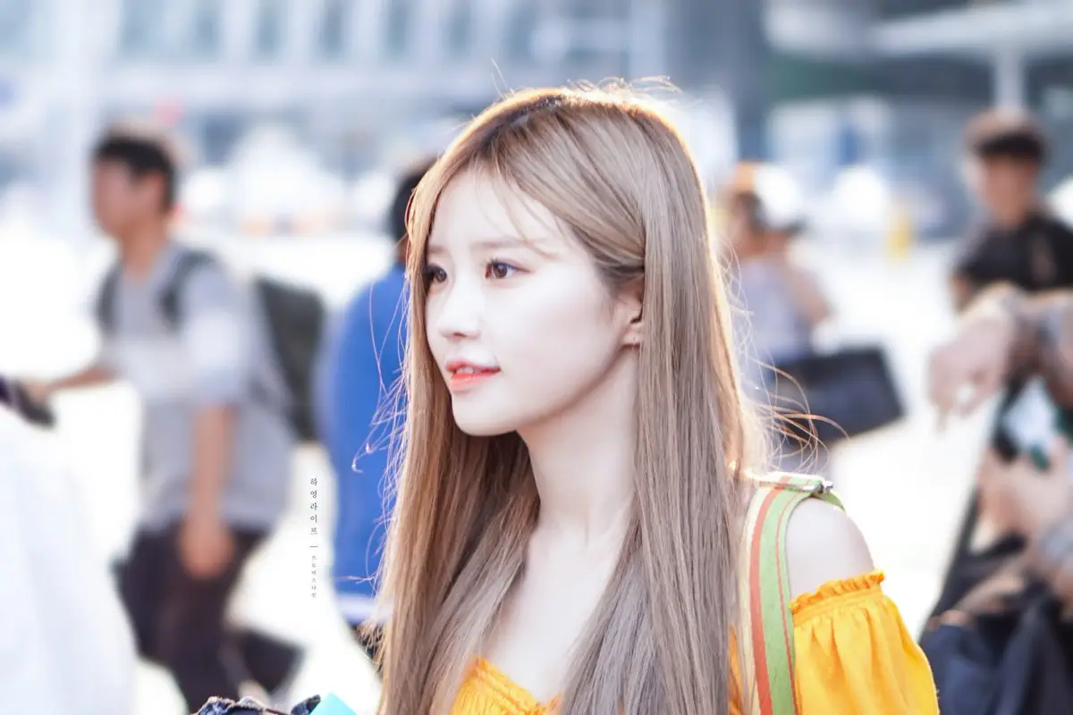 1일 1회 송하영(프로미스나인).jpg