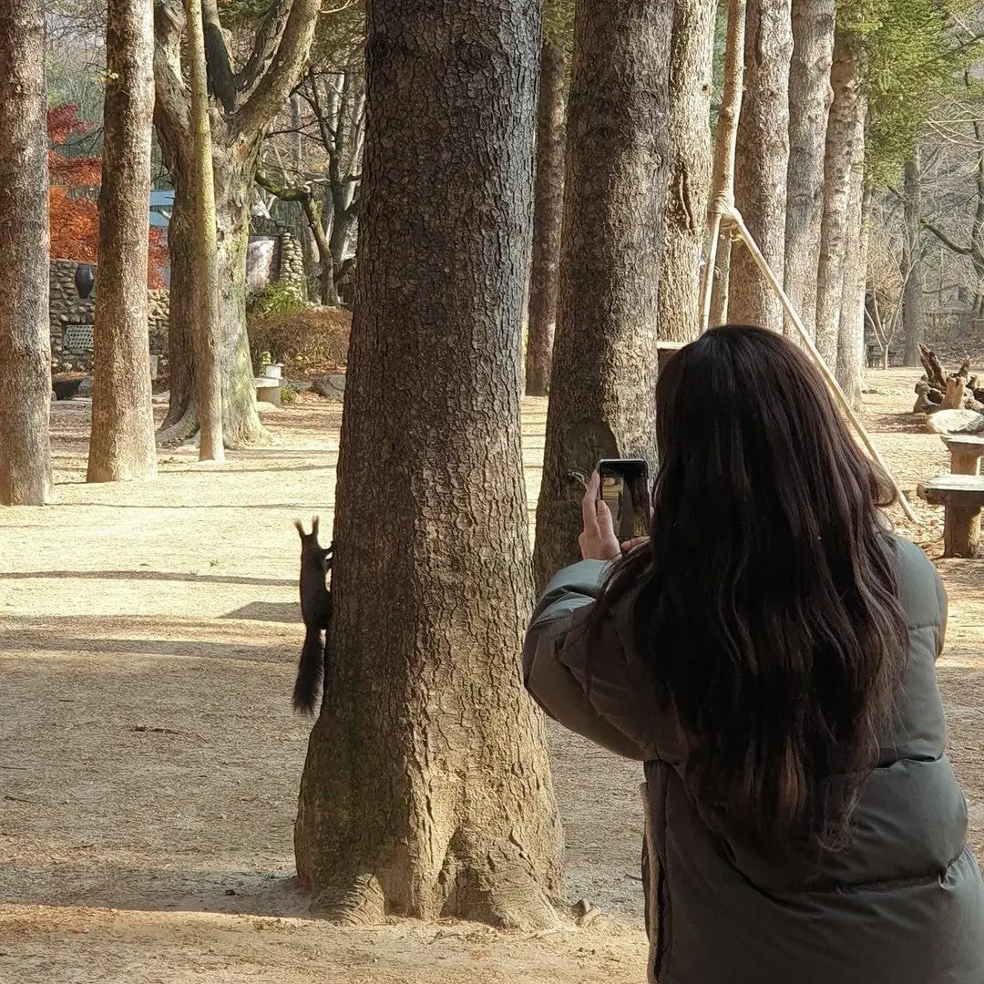 에이프릴 윤채경 인스타