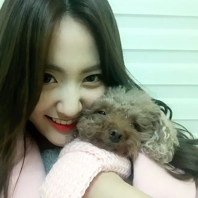 해령(베스티) 151117 인스타그램 - 더덕양 귀찮게해서 미안해요