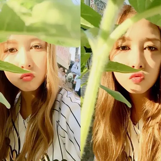 우주소녀 160520 인스타그램 업뎃.jpg