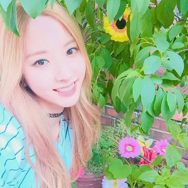 우주소녀 160520 인스타그램 업뎃.jpg