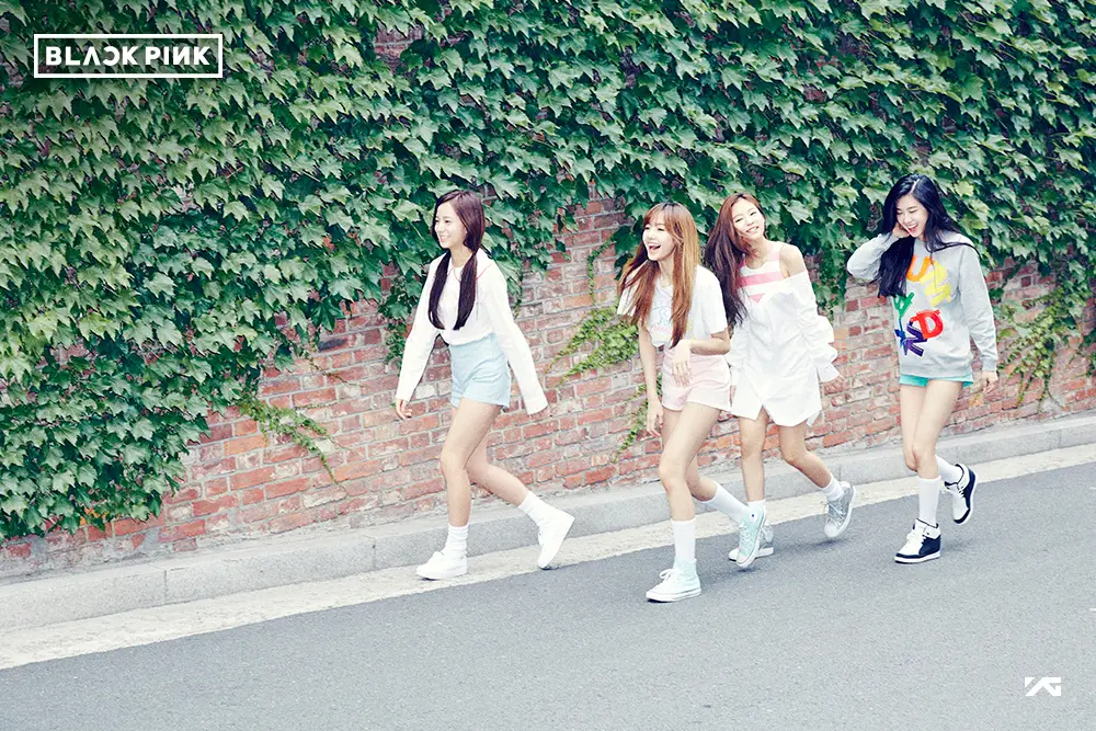 YG 신인 걸그룹 BLACKPINK 프로필 사진.jpg