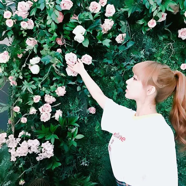 우주소녀 160621 인스타그램.jpg