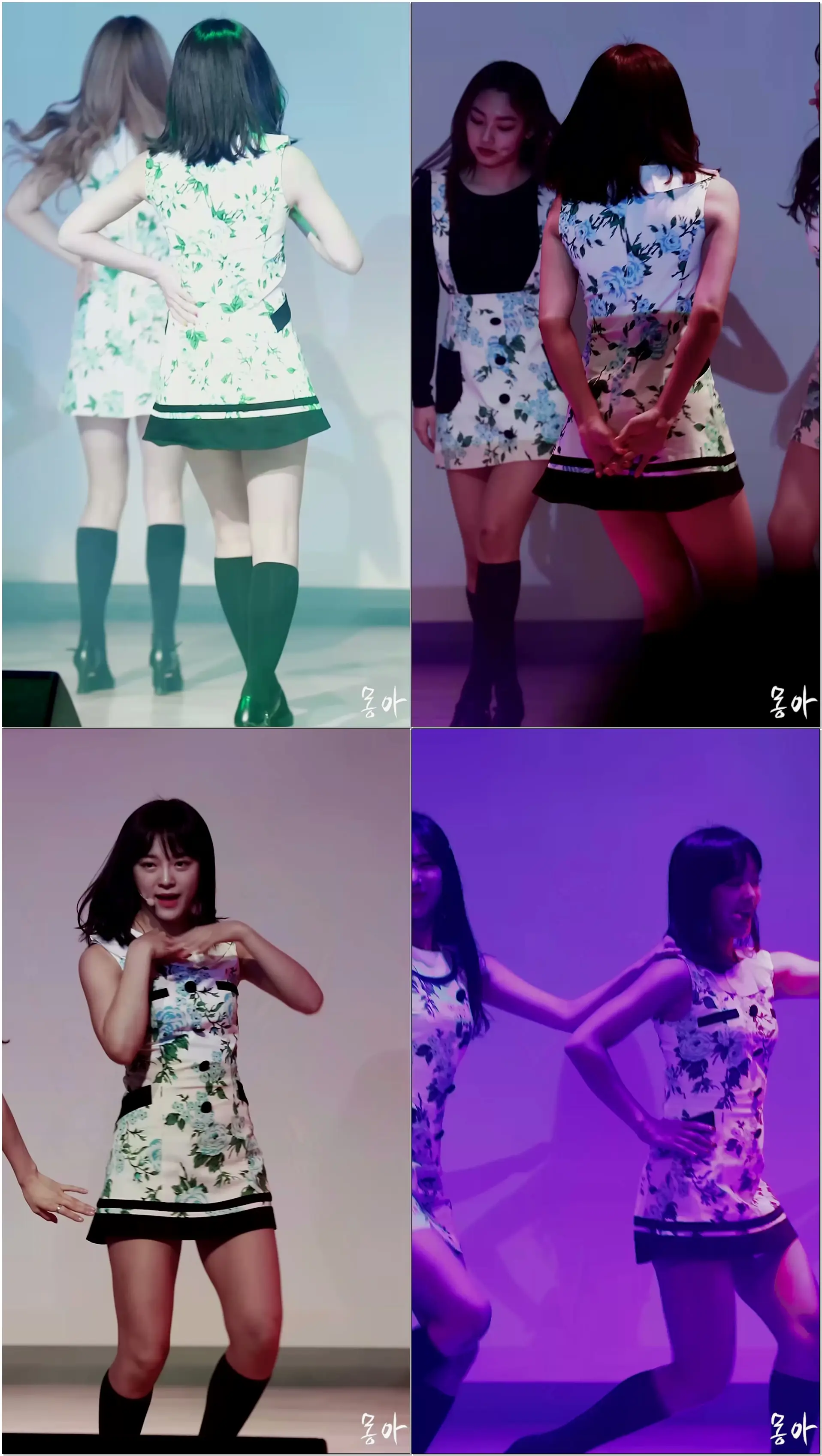 170511 구구단(gugudan) 세정 - Wonderland (원더랜드) 직캠 fancam by 몽아 @백석예술대학교 진리축전