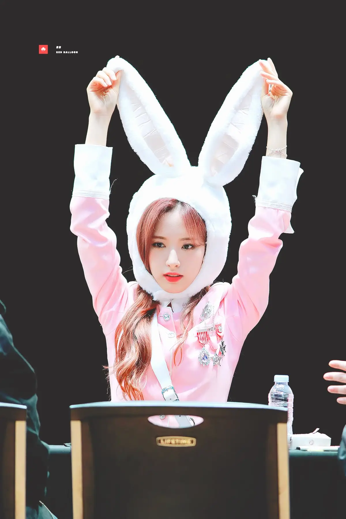 왕토끼 보나