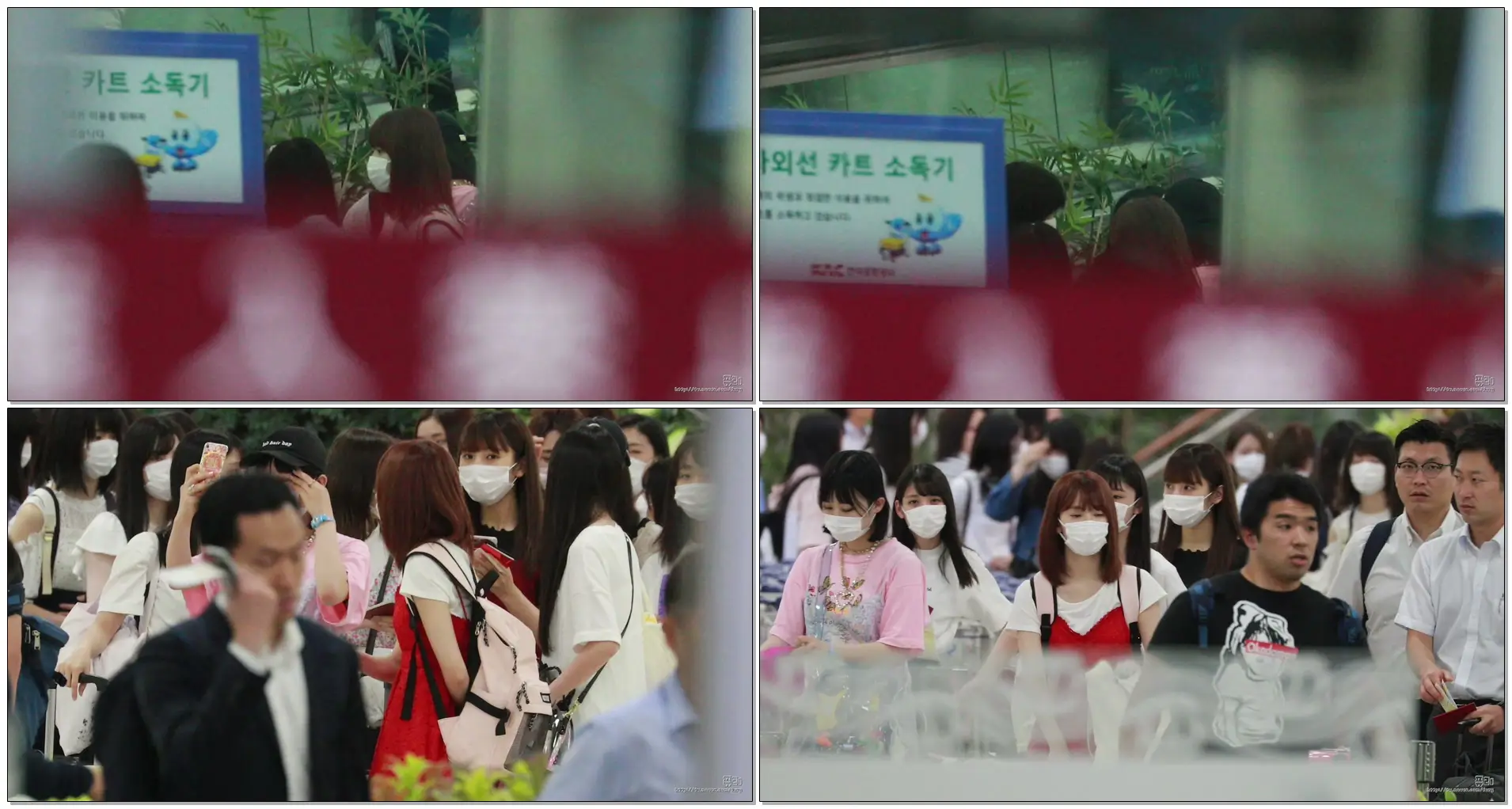 180709 HKT48 미야와키 사쿠라(宮脇咲良) (프로듀스48, 김포공항 입국)