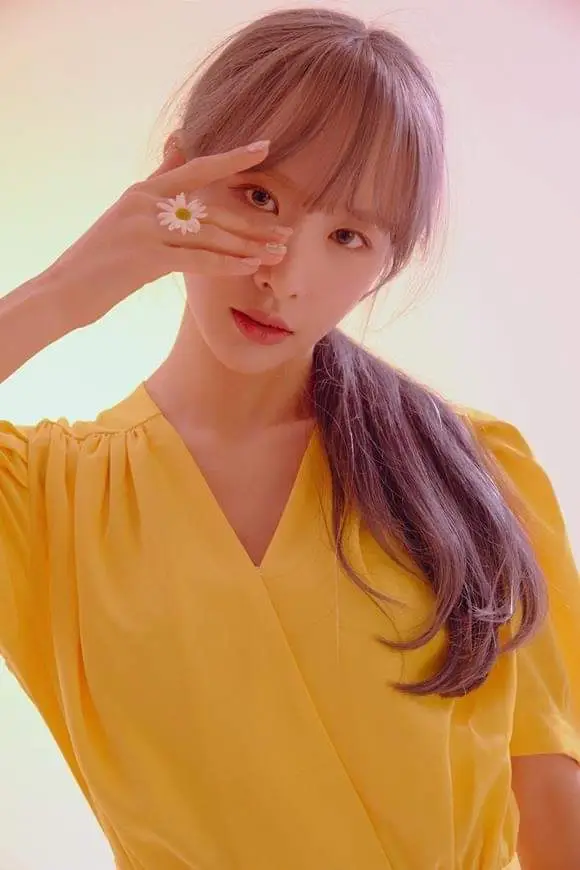 화보
