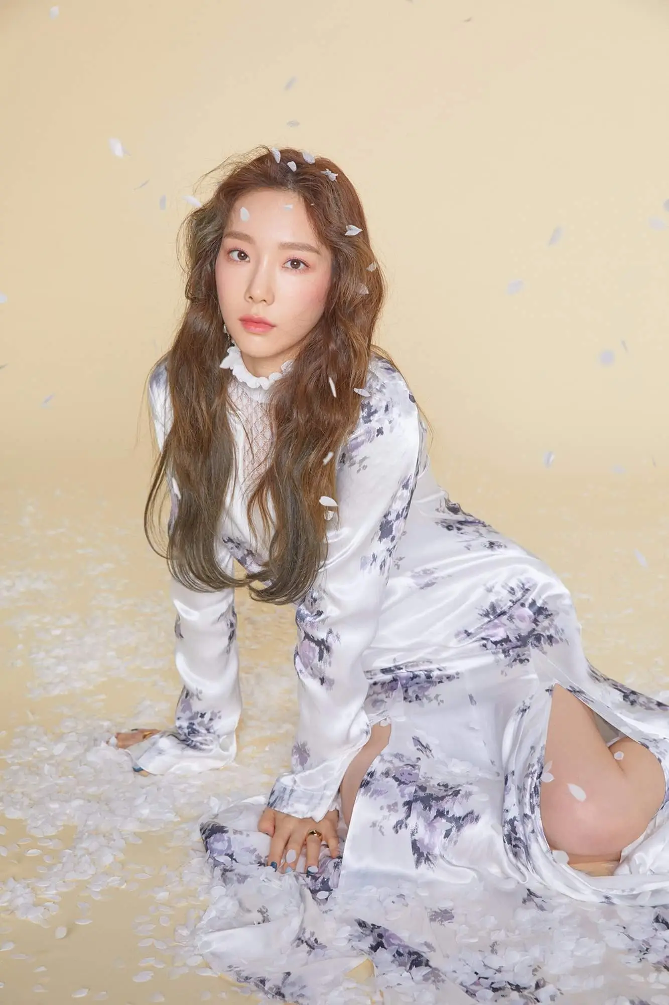 태연2