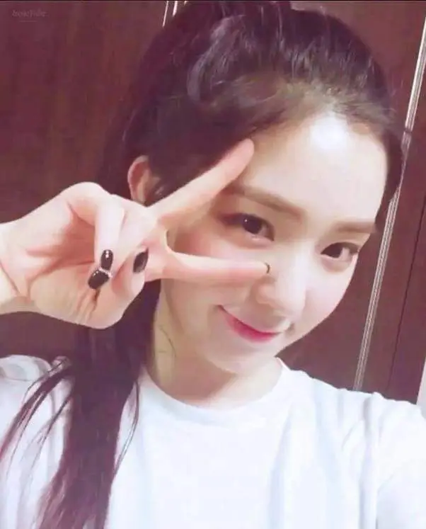 레드벨벳