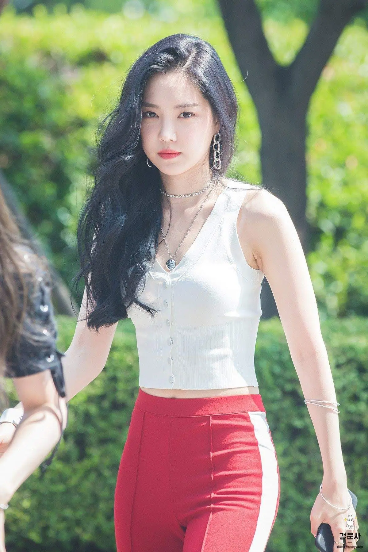 에이핑크19