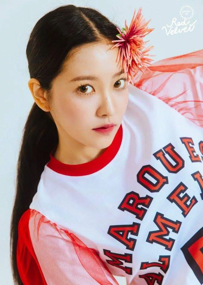 레드벨벳2