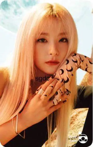 레드벨벳5