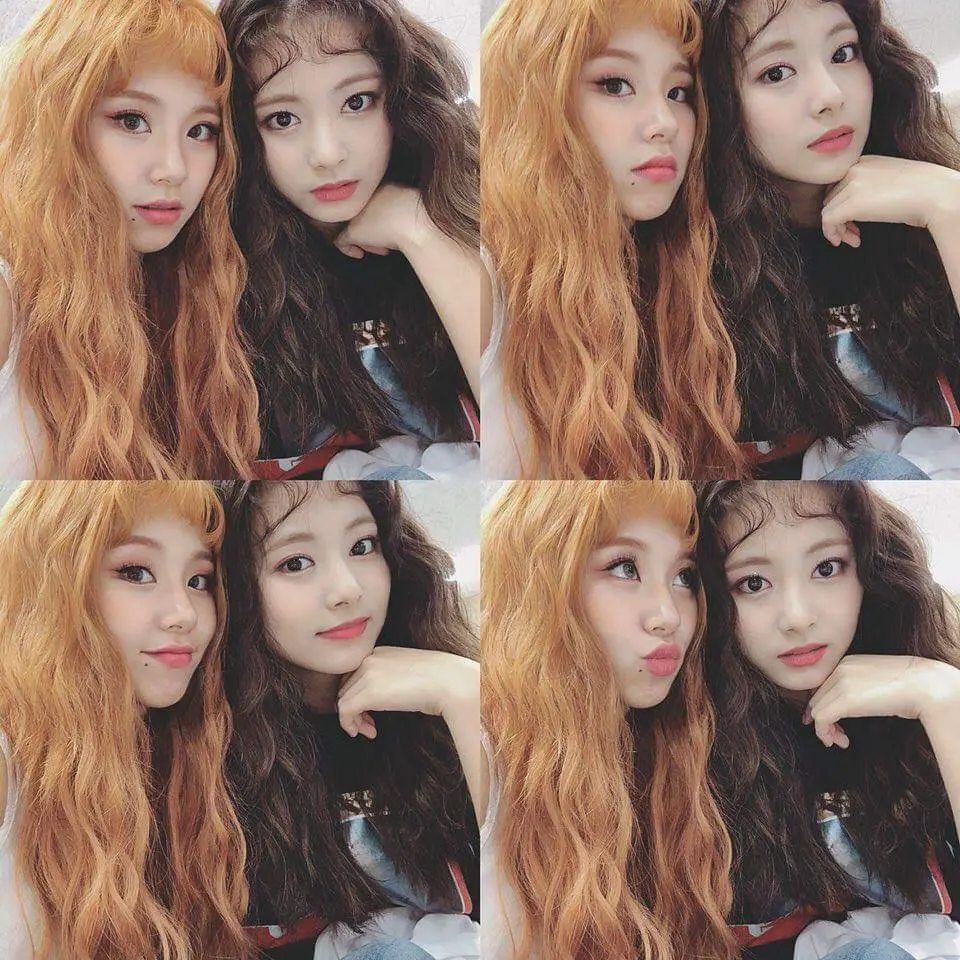 트와이스24