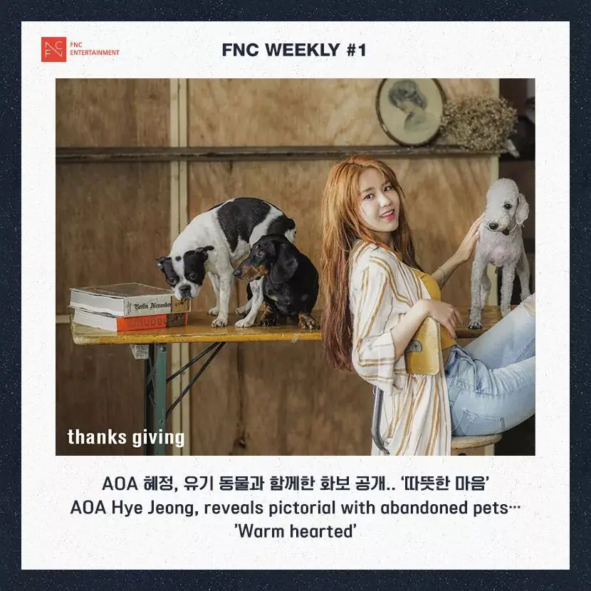 Aoa 3