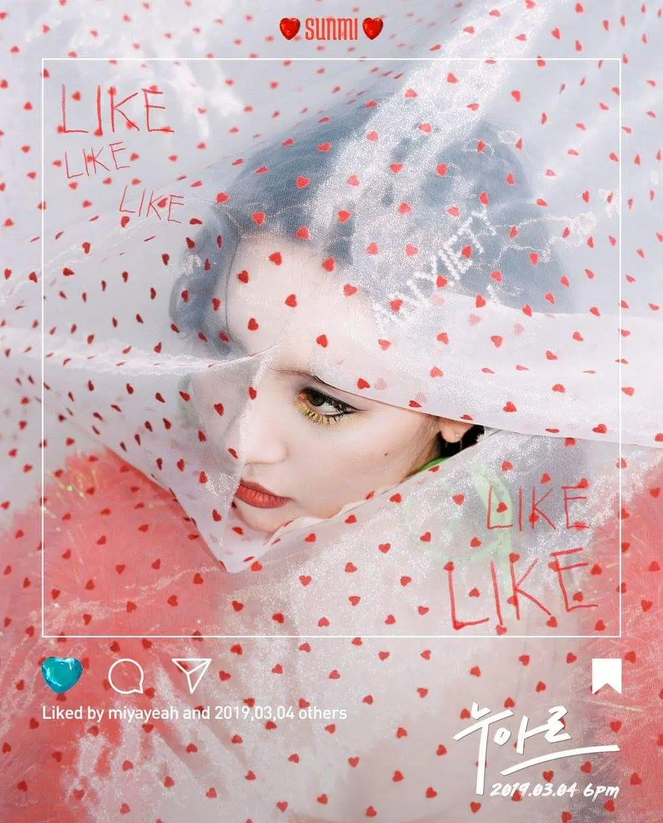 선미4