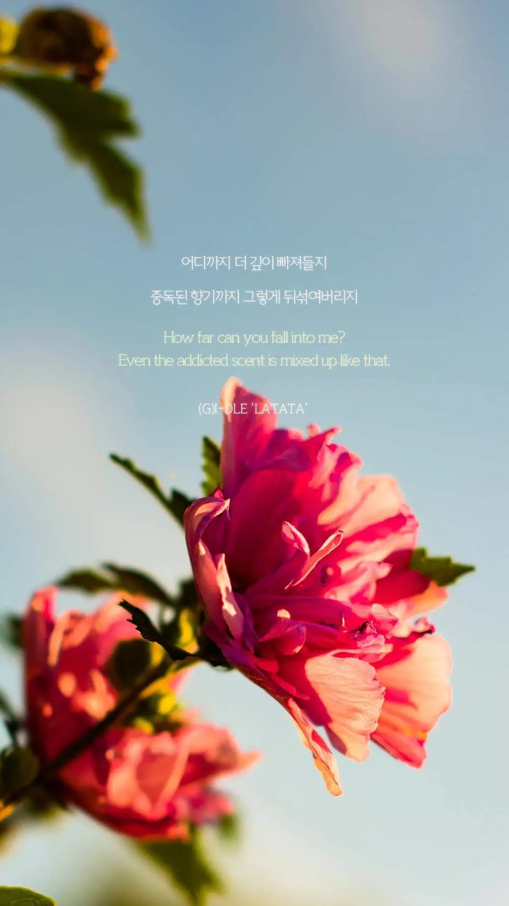 아이들2
