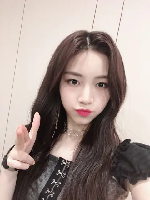 새롭게 트위터 개설한 로켓펀치