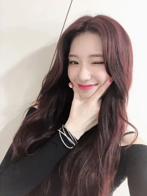 새롭게 트위터 개설한 로켓펀치
