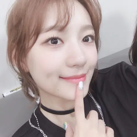 새롭게 트위터 개설한 로켓펀치