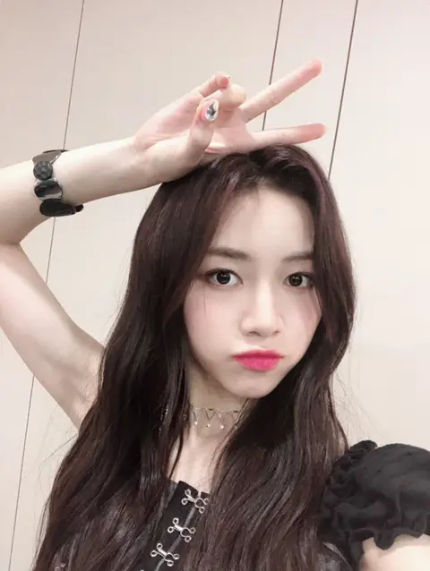 새롭게 트위터 개설한 로켓펀치