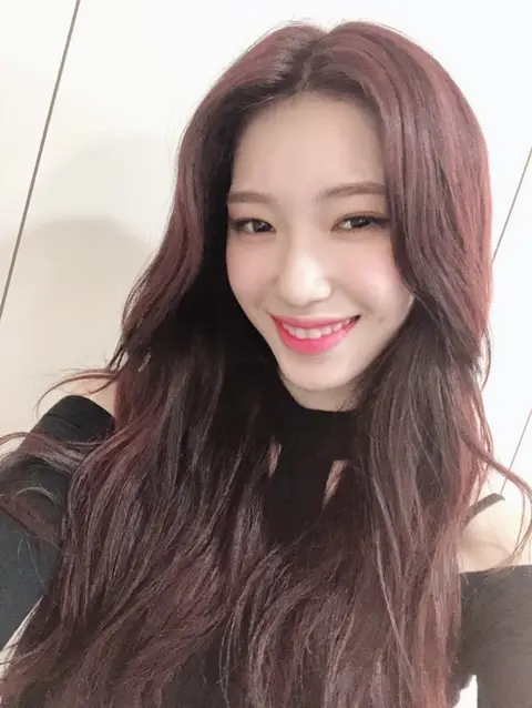 새롭게 트위터 개설한 로켓펀치