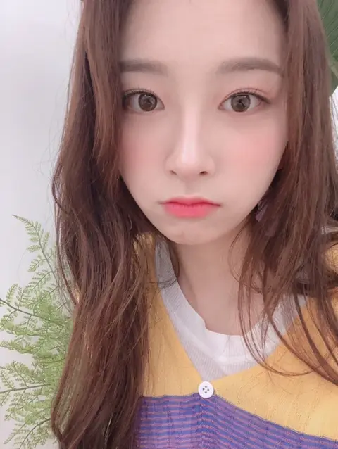 로켓펀치 서윤경.twitter