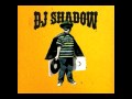 DJ Shadow_Organ Donor Live